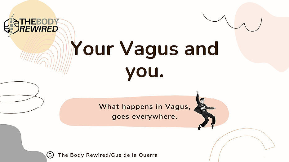 Your Vagus & You Webinar